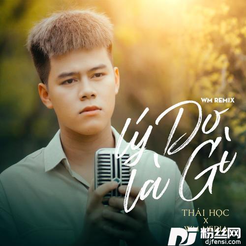 LýDoLàGìWMRemix