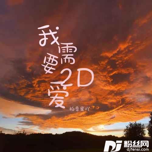 我需要2D爱