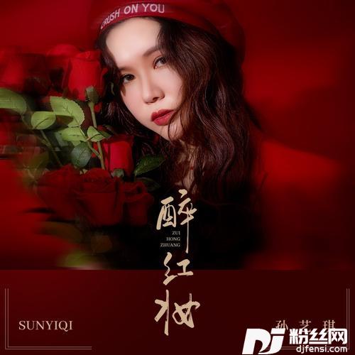 醉红妆DJ伟然版