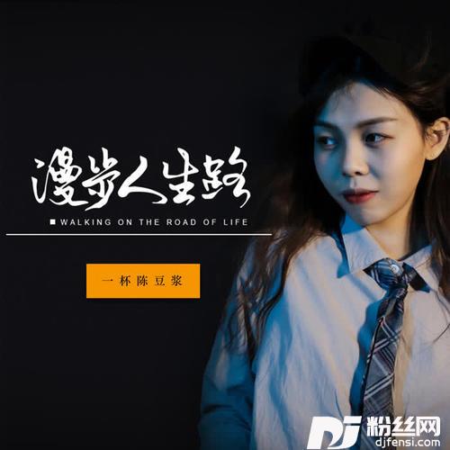 漫步人生路DJ版