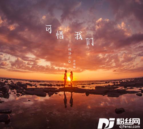 可惜我们抒情版的专辑