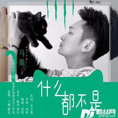 什么都不是的专辑