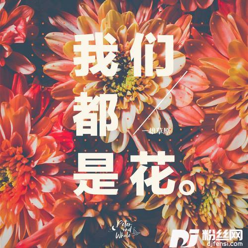 我们都是花