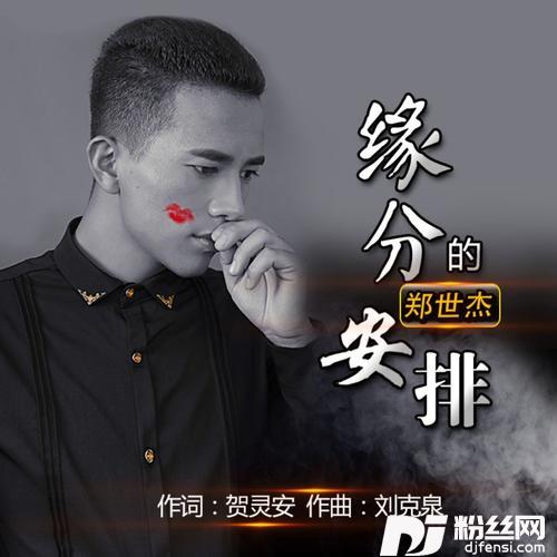 缘分的安排