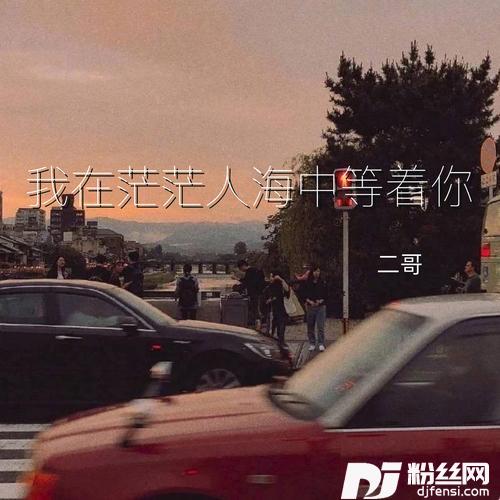 我在茫茫人海中等着你的专辑