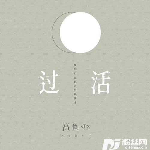 过活DJheap九天版的专辑