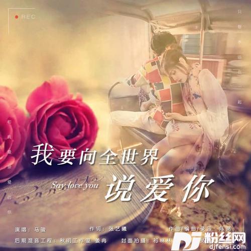 我要向全世界说爱你