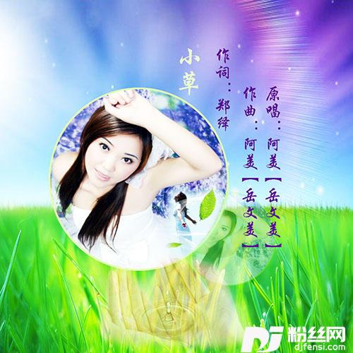 小草的专辑