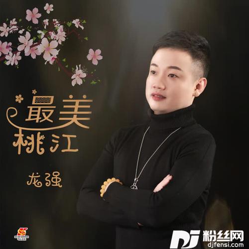 最美桃江