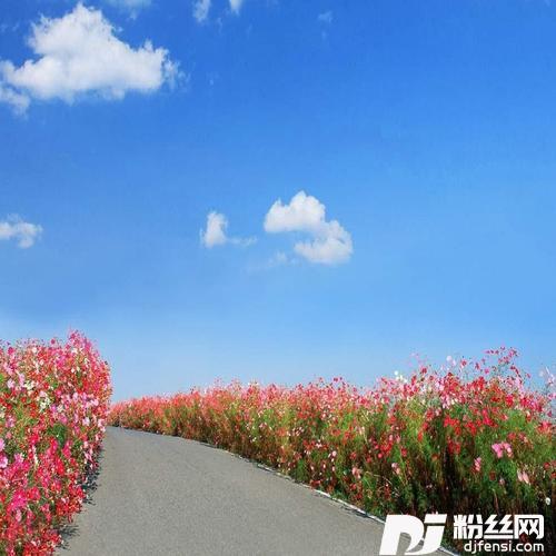 最好的安排DJ旋律版的专辑