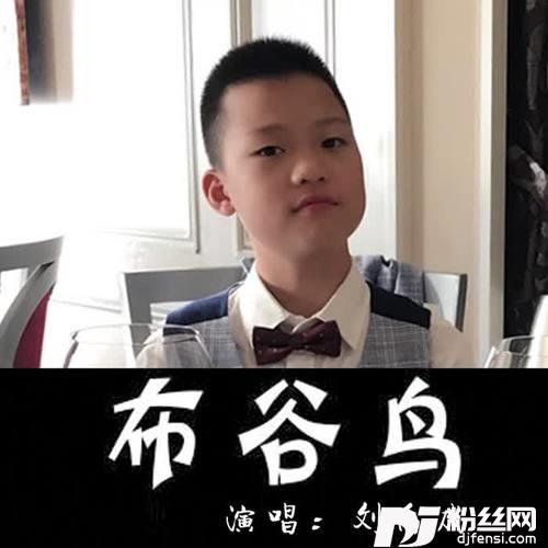 布谷鸟的专辑