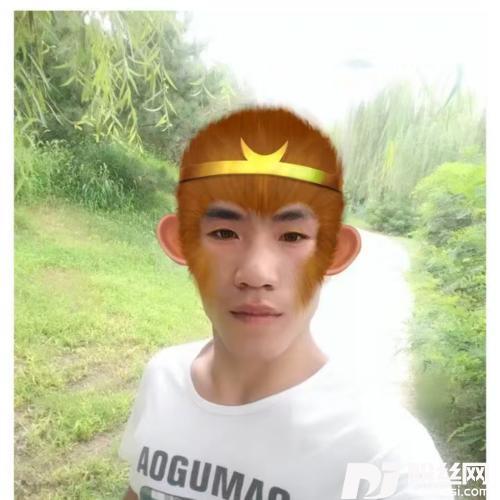 花开的时候你就来看我cover:张冬玲