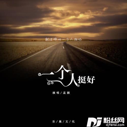 一个人挺好DJ版的专辑
