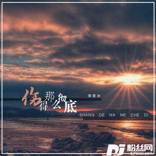 伤得那么彻底DJ版