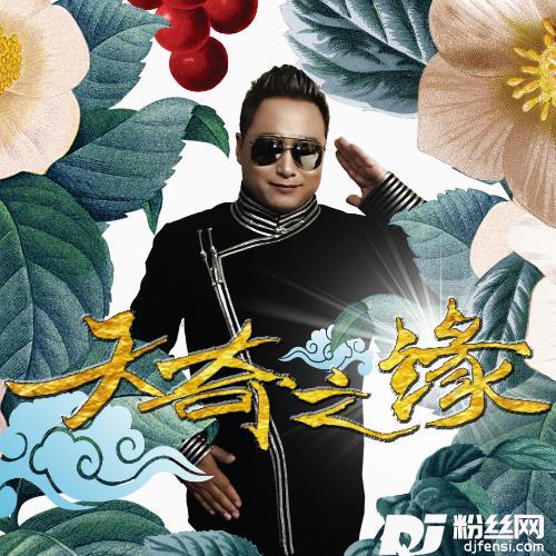 天奇之缘