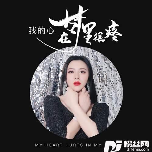我的心在梦里很疼DJ何鹏版