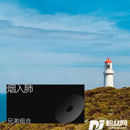 烟入肺酒入魂（最好听版）