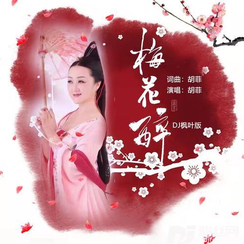 梅花醉（DJ枫叶版）