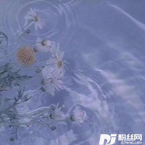 冬眠