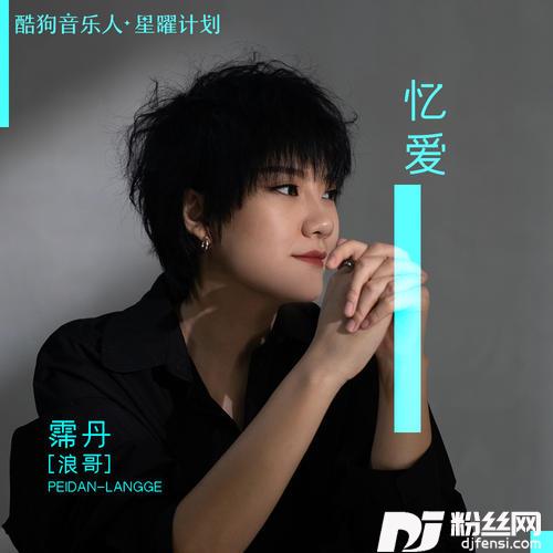 忆爱DJ启梦版