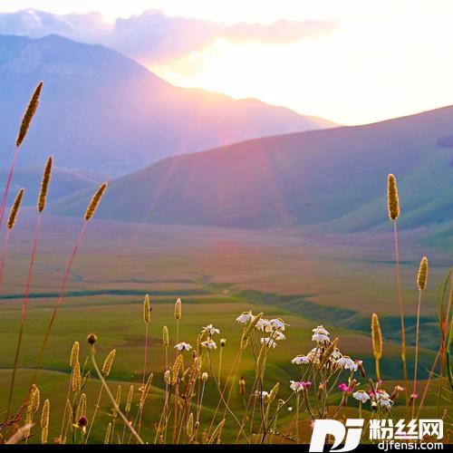 花间一壶酒（DJ沈念版）cover:花僮