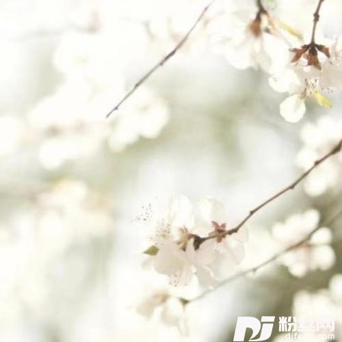 世迷い言cover:中岛美雪的专辑