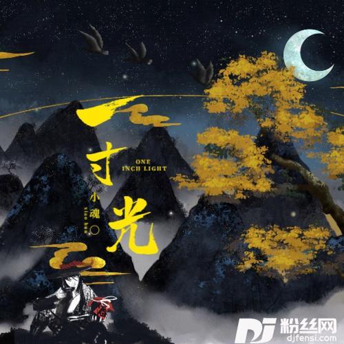 一寸光