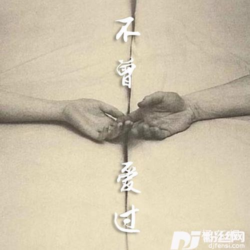 不曾爱过