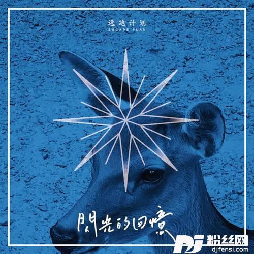 闪光的回忆