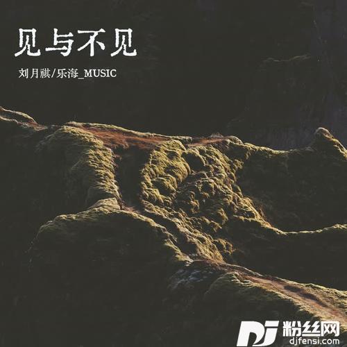 见与不见