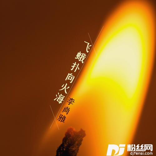 飞蛾扑向火海
