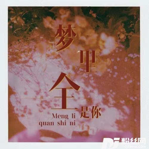 梦里全是你