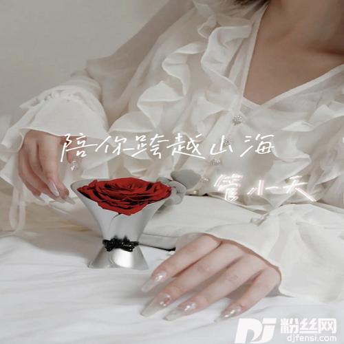 陪你跨越山海