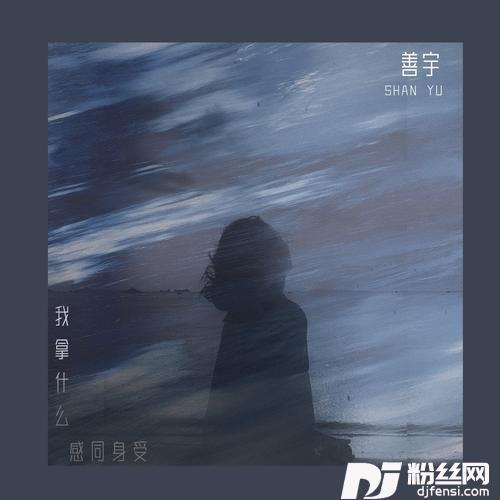 我拿什么感同身受的专辑