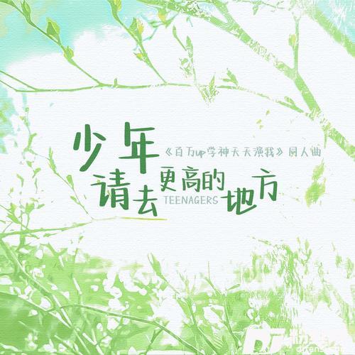 少年，请去更高的地方