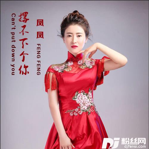 撂不下个你的专辑