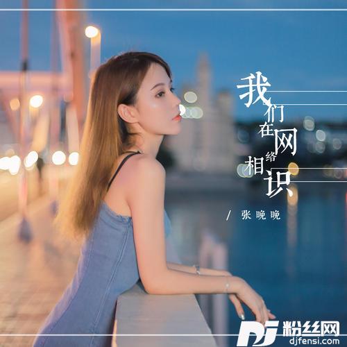 我们相识在网络