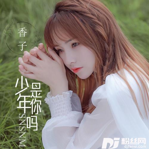 少年是你吗DJ沈念版的专辑