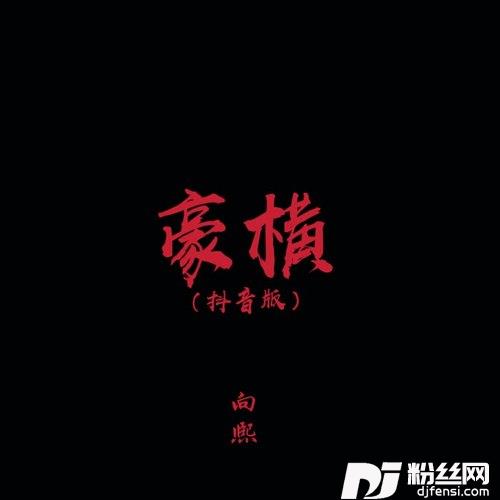 豪横抖音版
