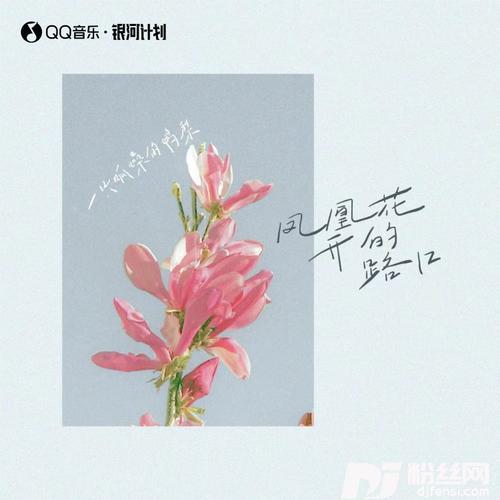 凤凰花开的路口
