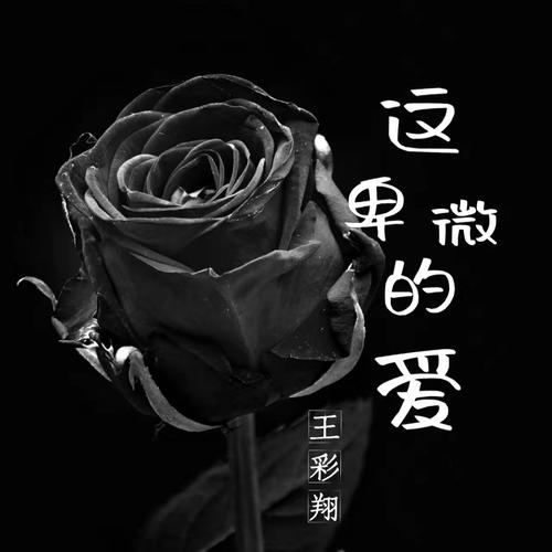 这卑微的爱的专辑