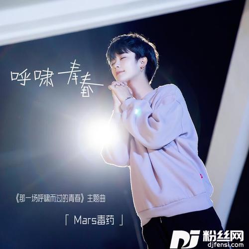 呼啸青春