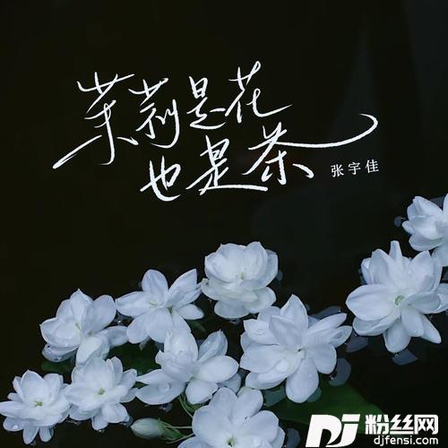 茉莉是花也是茶