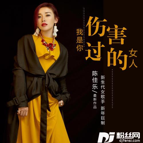 我是你伤害过的女人的专辑