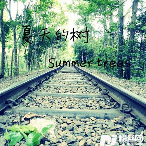 想你爱你的专辑