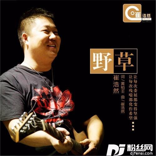 野草的专辑