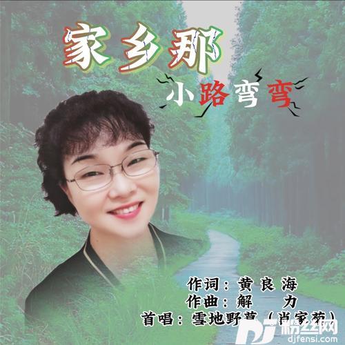 家乡那小路弯弯（DJ版）