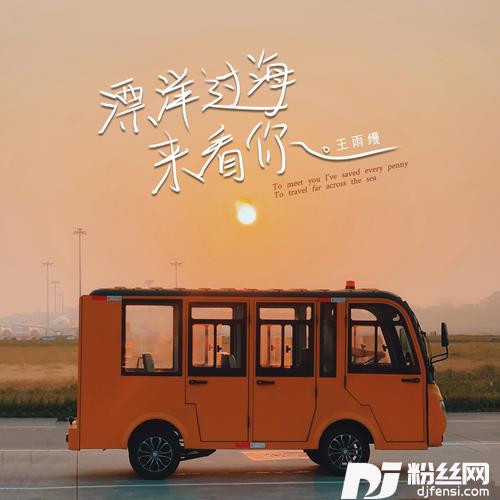 漂洋过海来看你DJ京仔版