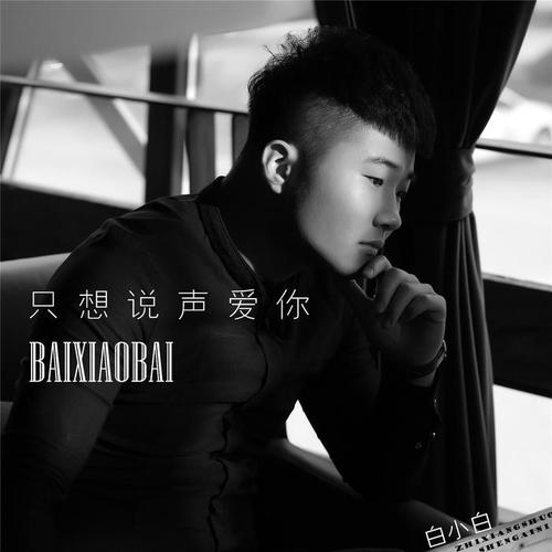 只想说声爱你DJ默涵版