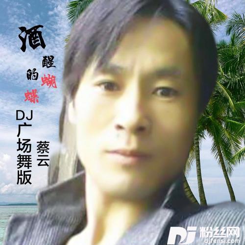 酒醒的蝴蝶（DJ版）cover:龙江辉的专辑
